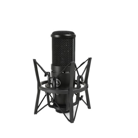 AKG P120