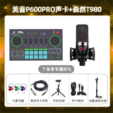 美音P600pro-森然T980套装