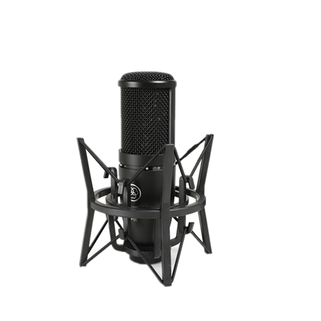 AKG P120