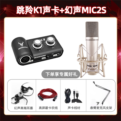 跳羚K1-幻声MIC2S套装