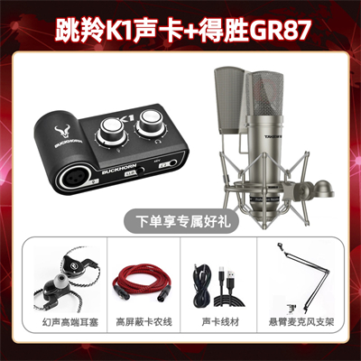 跳羚K1-得胜GR87套装