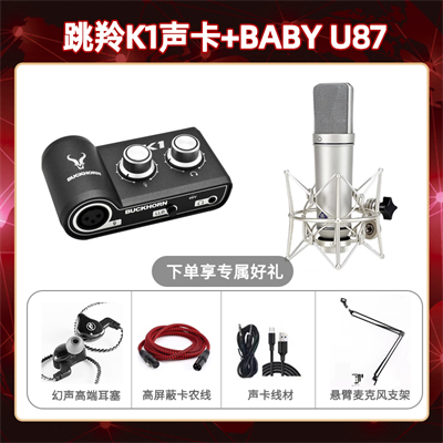 跳羚K1-Baby指向U87套装