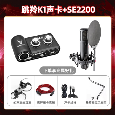 跳羚K1-SE2200套装