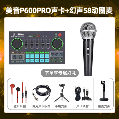 美音P600pro-幻声58动圈麦套装