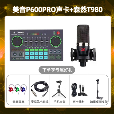 美音P600pro-森然T980套装
