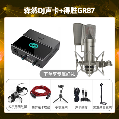 森然DJ-得胜GR87套装