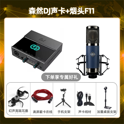 森然DJ-烟头F11套装