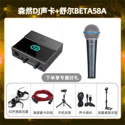 森然DJ-舒尔Beta58A套装