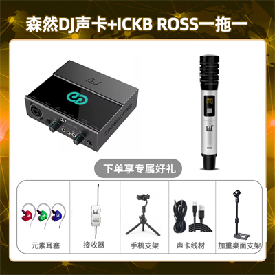 森然DJ-ROSS单只套装