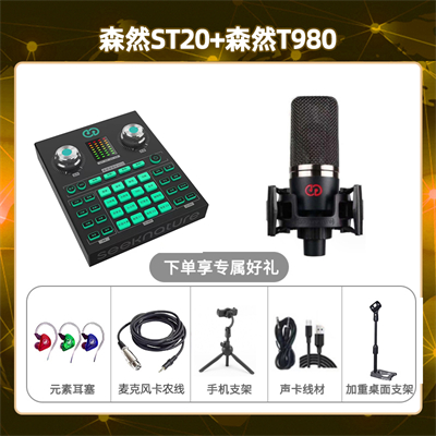 森然ST20-森然T980套装