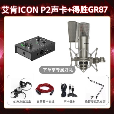 艾肯P2-得胜GR87套装