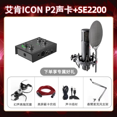 艾肯P2-SE2200套装