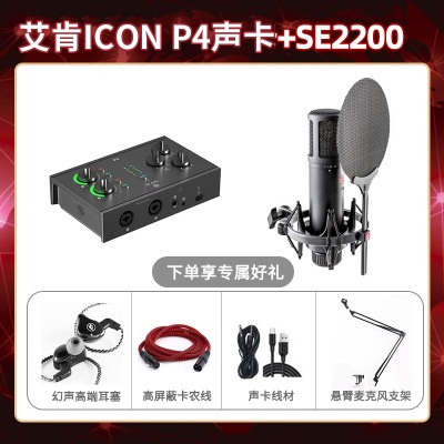 艾肯P4-SE2200套装